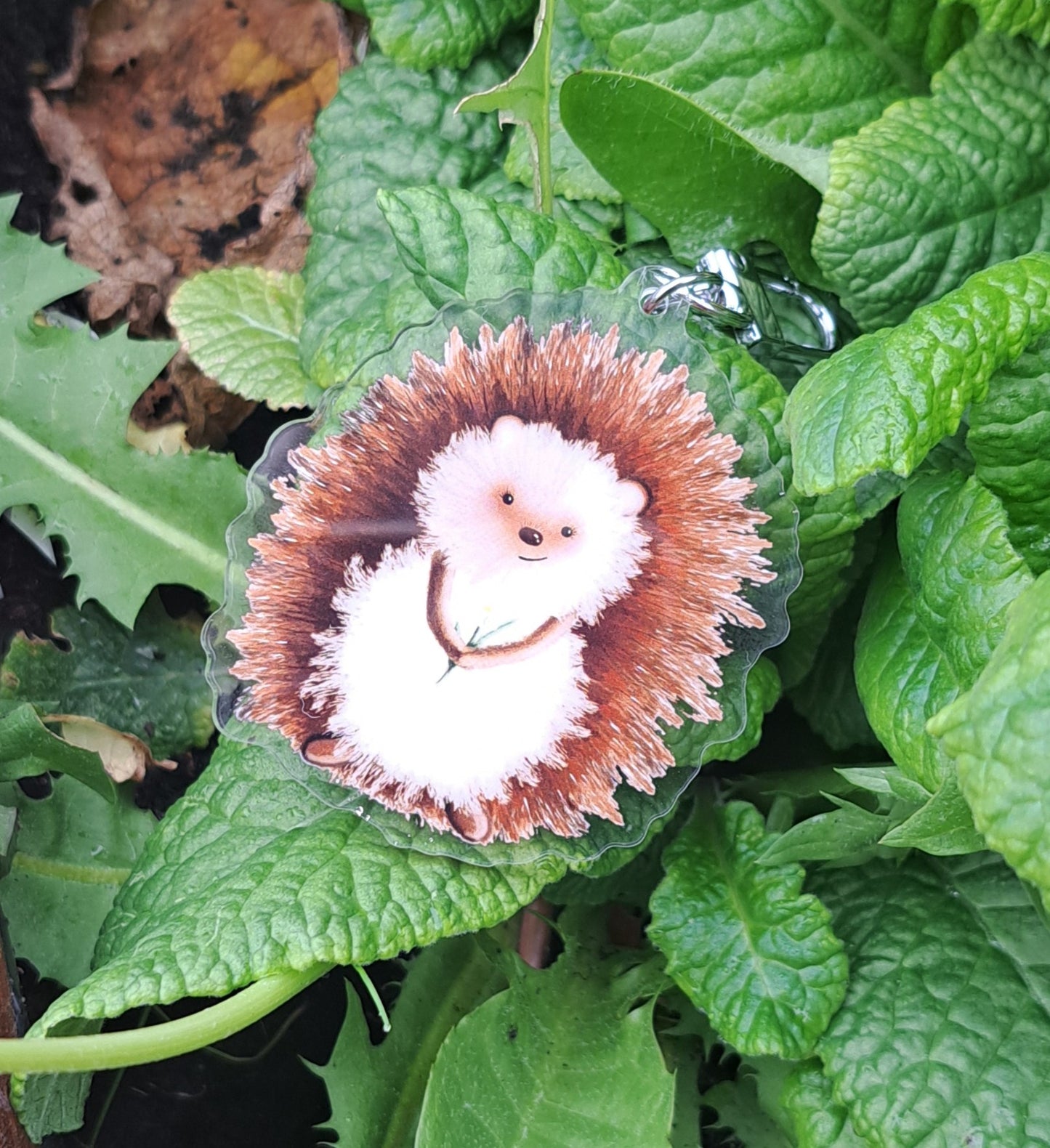 Hedgehog Acrylic Keyring