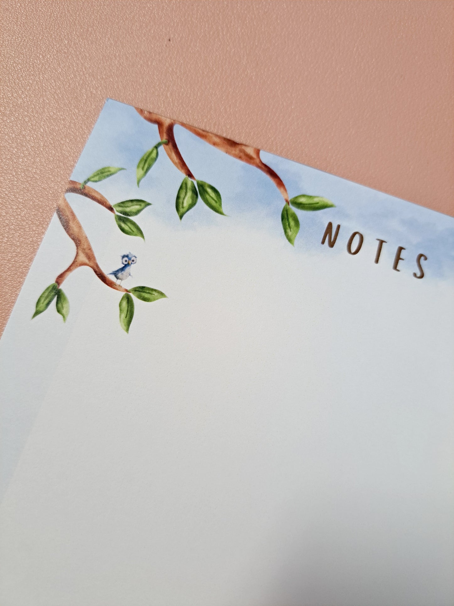 A5 Cute Cats Notepad