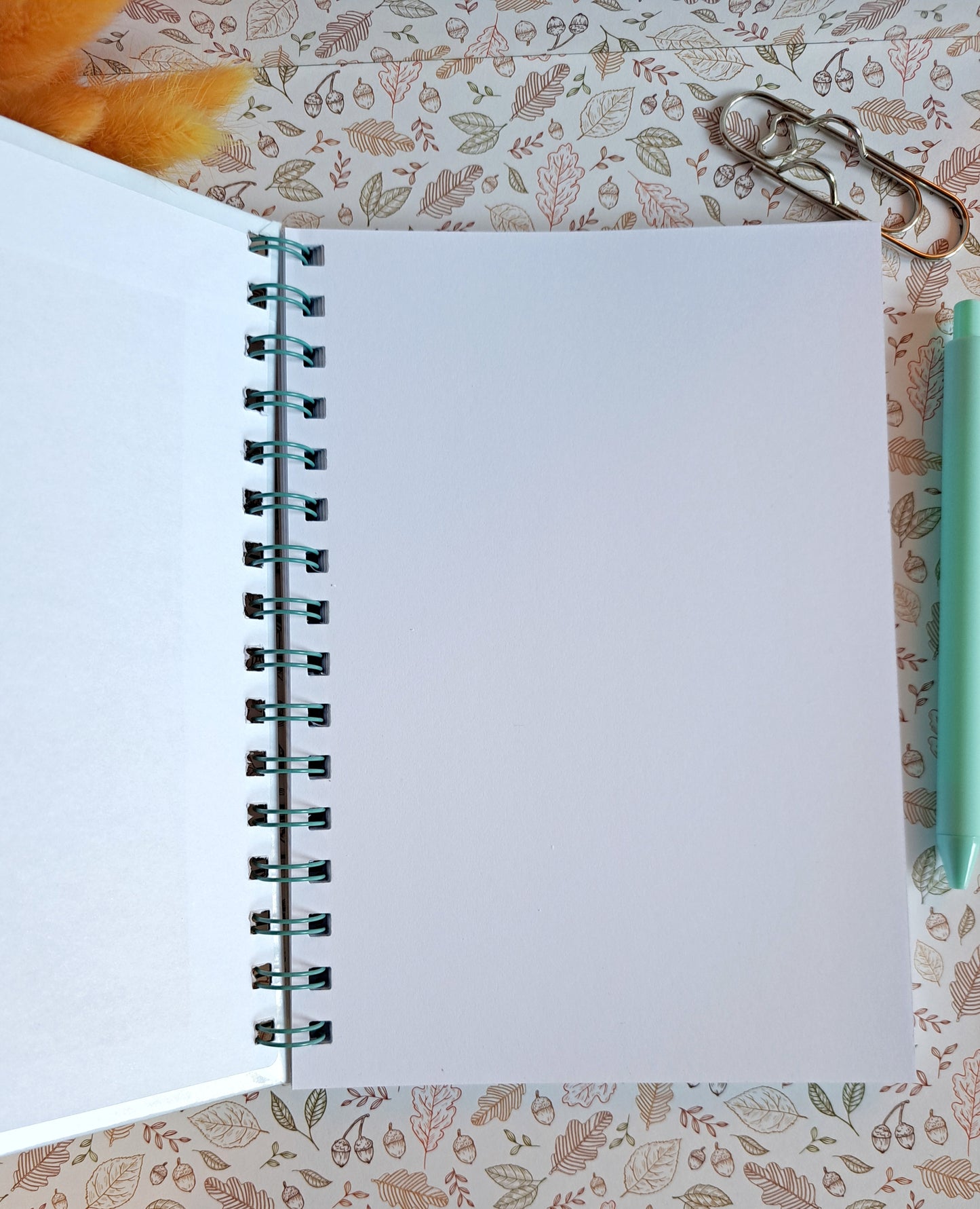 Conclave Notebook - Lylah