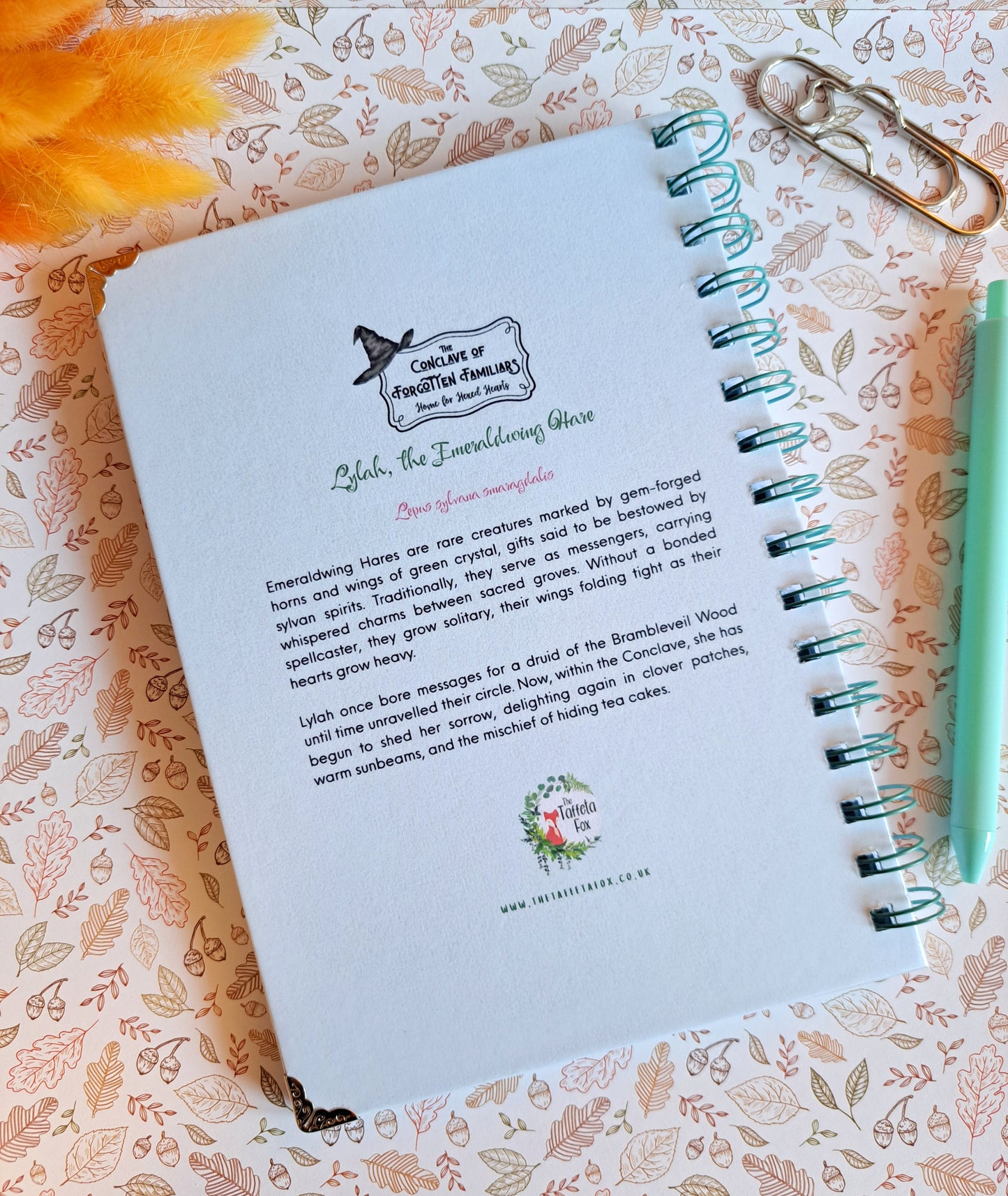 Conclave Notebook - Lylah