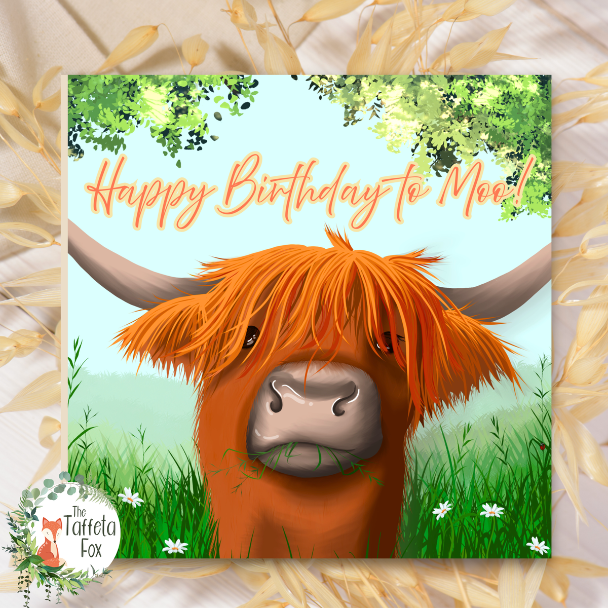 Cute Highland cow birthday card with the text “Happy Birthday to Moo!” featuring a shaggy ginger cow standing in green grass with daisies.